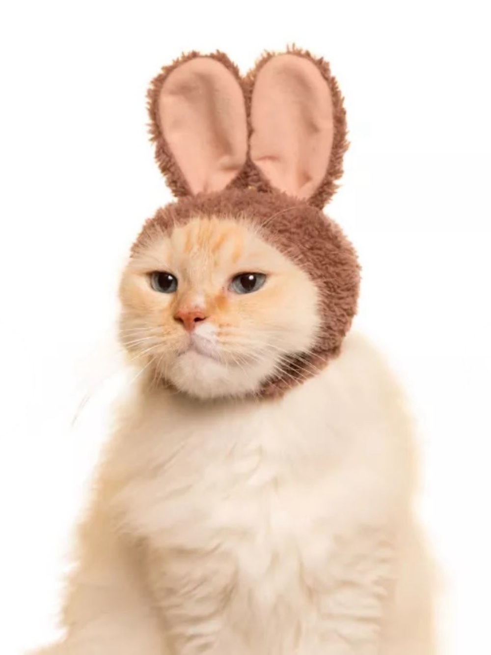Cat Headpiece Cute Costume Bunny Rabbit Brown Hat Pet Clothes
